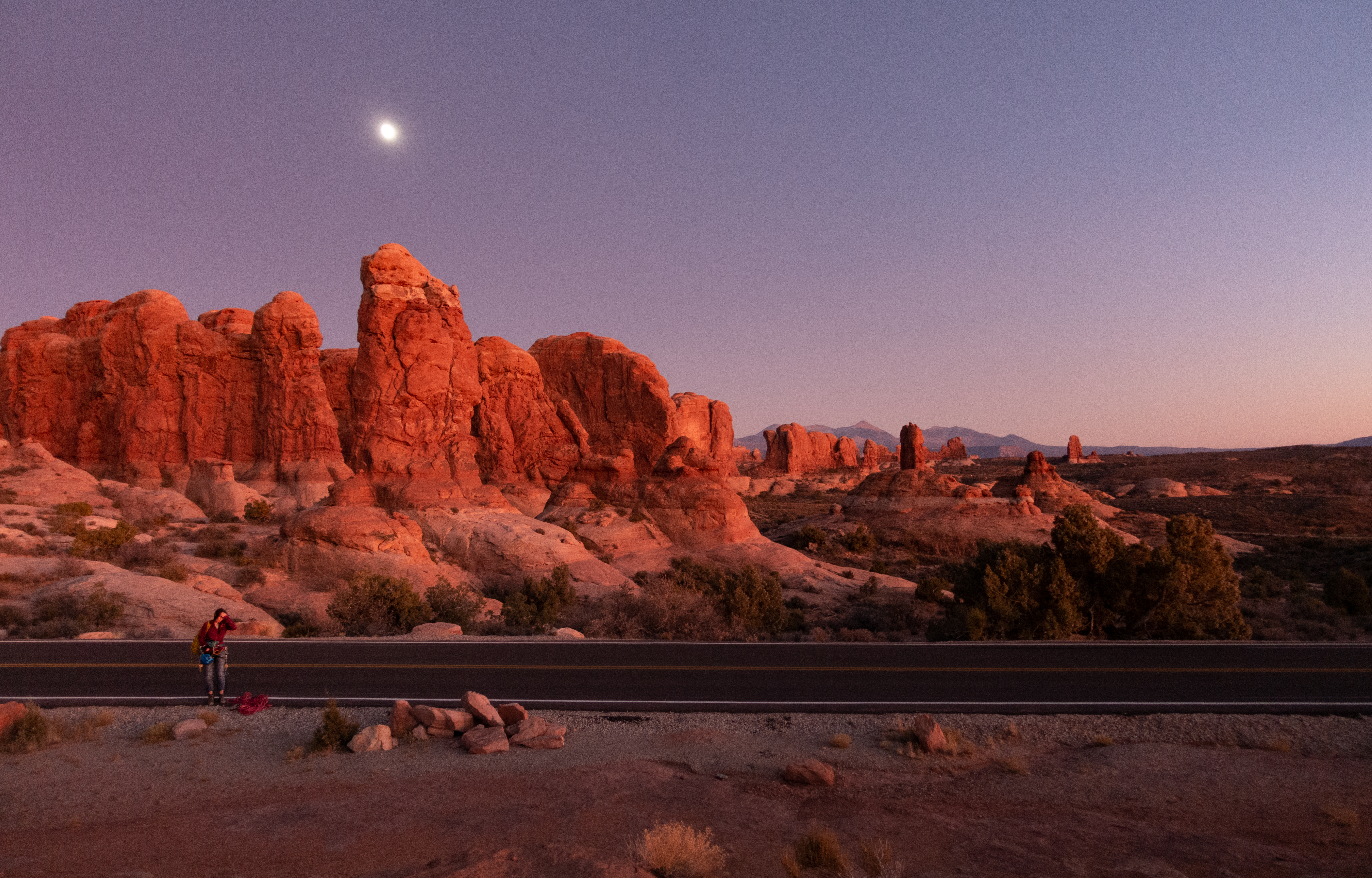 Owl Rock, Arches National Park, Utah