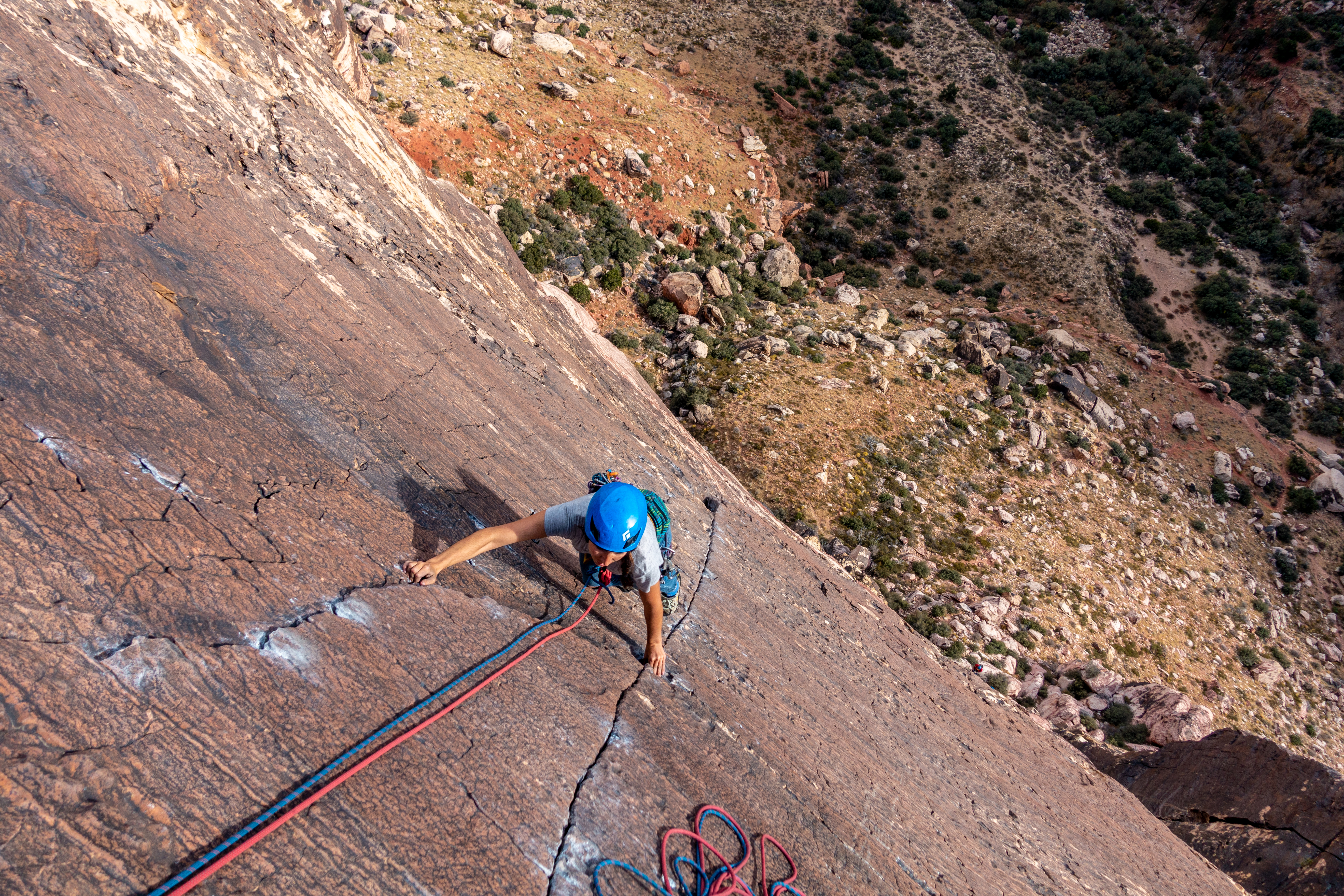 Birdland, Red Rocks, Nevada